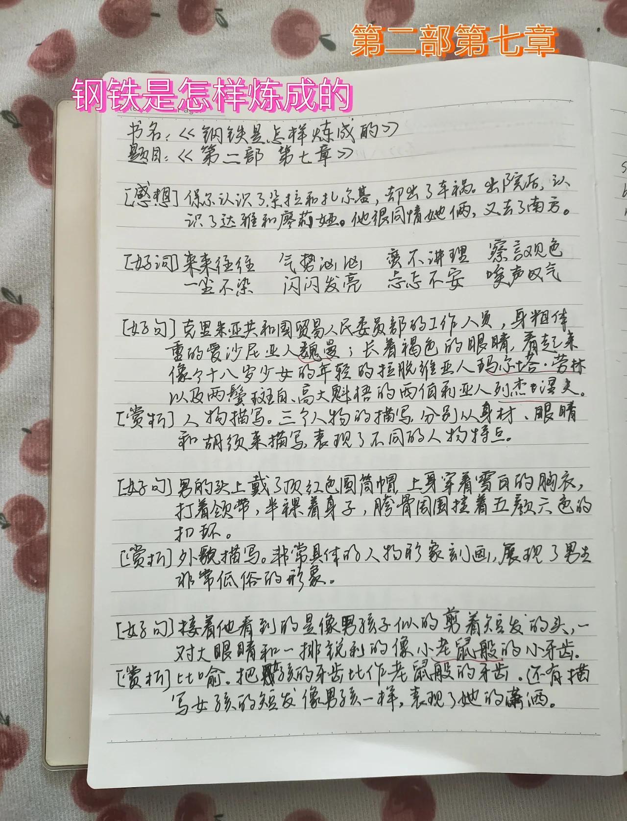 钢铁是怎样炼成的好段